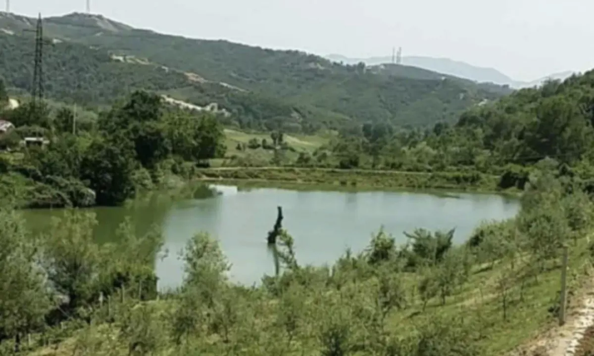 SHITET TOKE NE MAMINAS 110.000 Euro