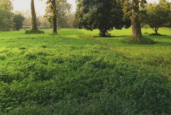 🔺️SHITET TOKE NE PETRELE🔺️ 11.500 M2