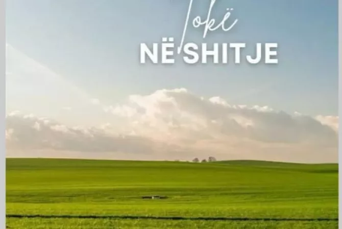 SHITET TOKE NE FARKE 8.906 M2 