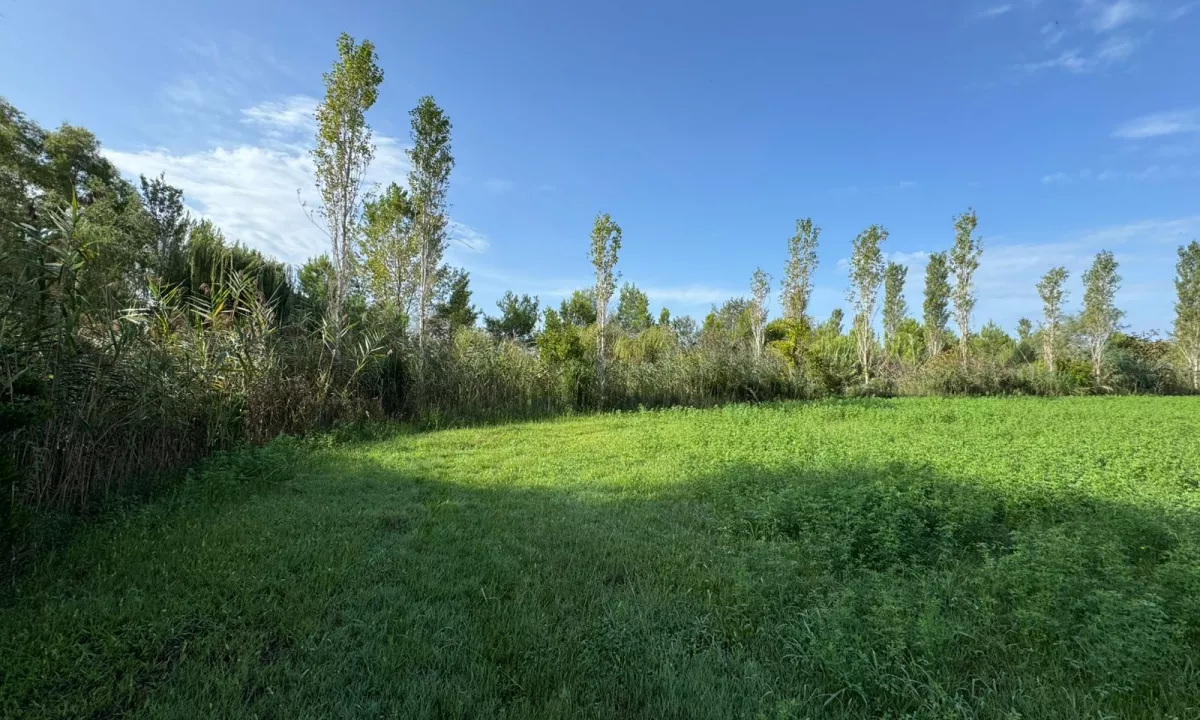 SHITET TRUALL  PRANE LUGINES SE PATOKUT  3.800 M2