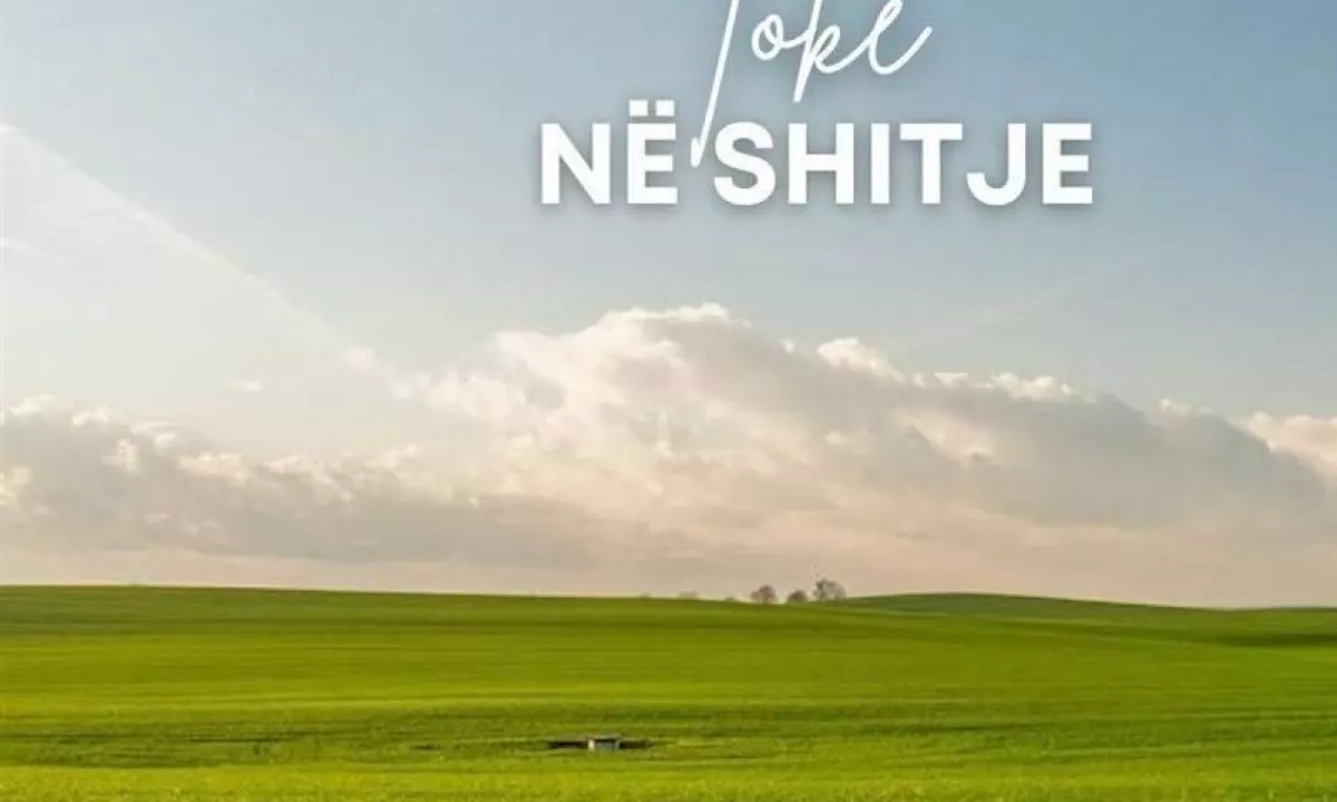 SHITET  TOKE NE FARKE 10.000 M2