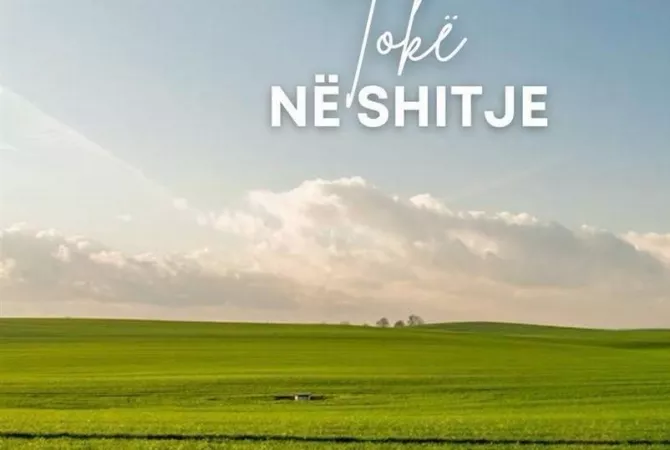 SHITET  TOKE NE FARKE 10.000 M2