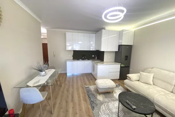 Shtepi me qera Apartament ne Tirane, 1+1, Mobilimi E mobiluar, Pagesa 650  Euro.