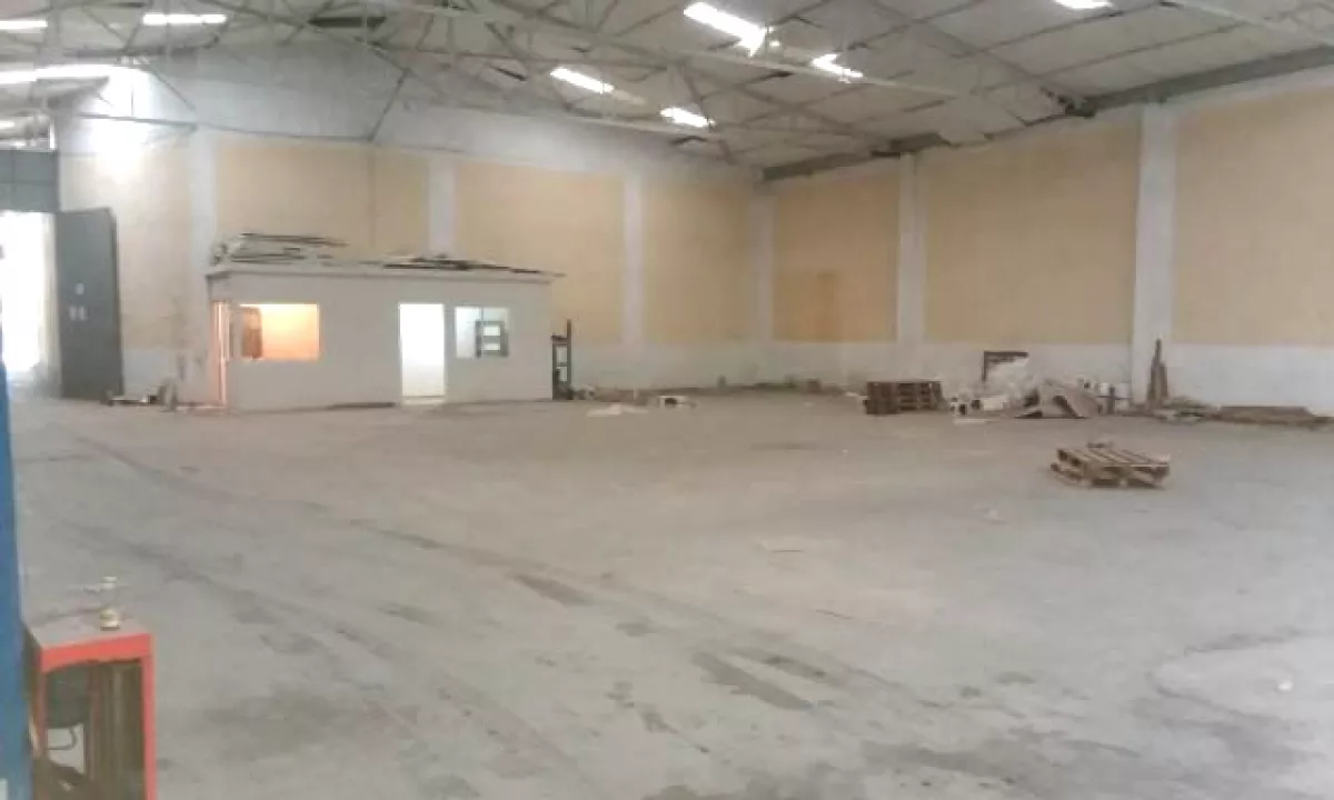 SHITET MAGAZINE PRANE CITY PARK