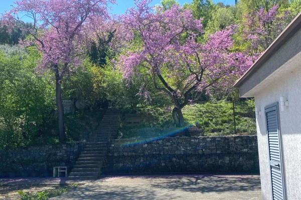 Shtepi ne shitje Shtepi Private ne Tirane, 3+1, Mobilimi Pjeserisht e mobiluar, Pagesa 396,000  Euro.