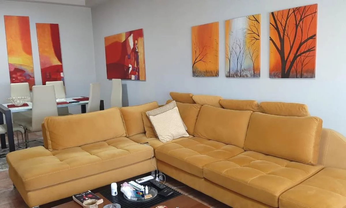 Shtepi ne shitje Apartament ne Tirane, 3+1, Mobilimi E mobiluar, Pagesa 170,000  Euro.