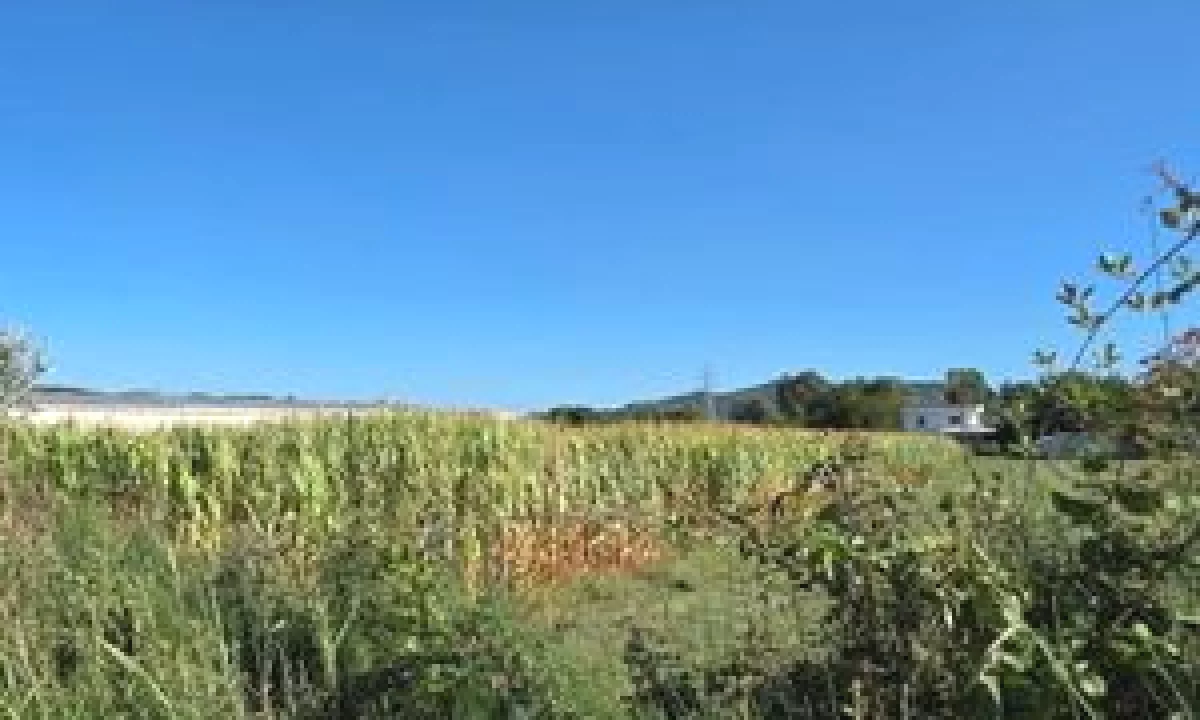 SHITET TOKE NE FARKE 8.900 m2