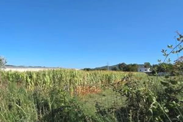 Truall ose Toke ne Tirane - 712,000 Euro