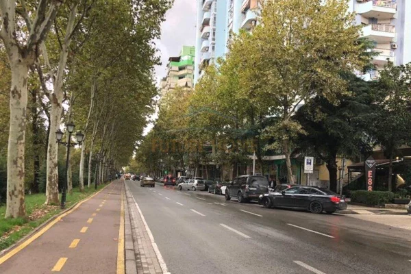 Business Property for Rent 1+1 in Tirana - 2,500 Euro