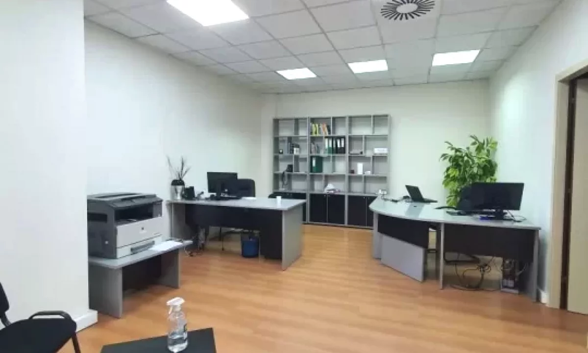 SHITET DYQAN PRANE TORRE DRINI