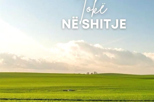 SHITET TOKE NE FUSHE PREZE 8.536 M2