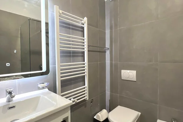 Shtepi me qera Apartament ne Tirane, 1+1, Mobilimi E mobiluar, Pagesa 650  Euro.