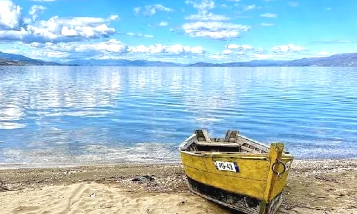 SHITET TOKE 3.000 M2 NE POGRADEC PRANE LIQENIT 