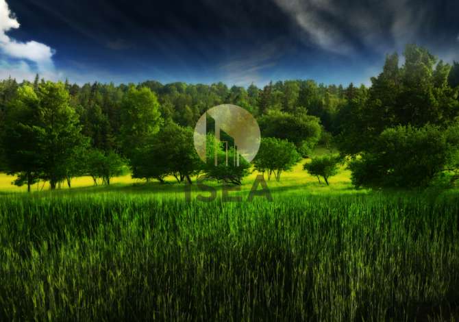 Truall ose Toke ne Tirane - 74,000 Euro