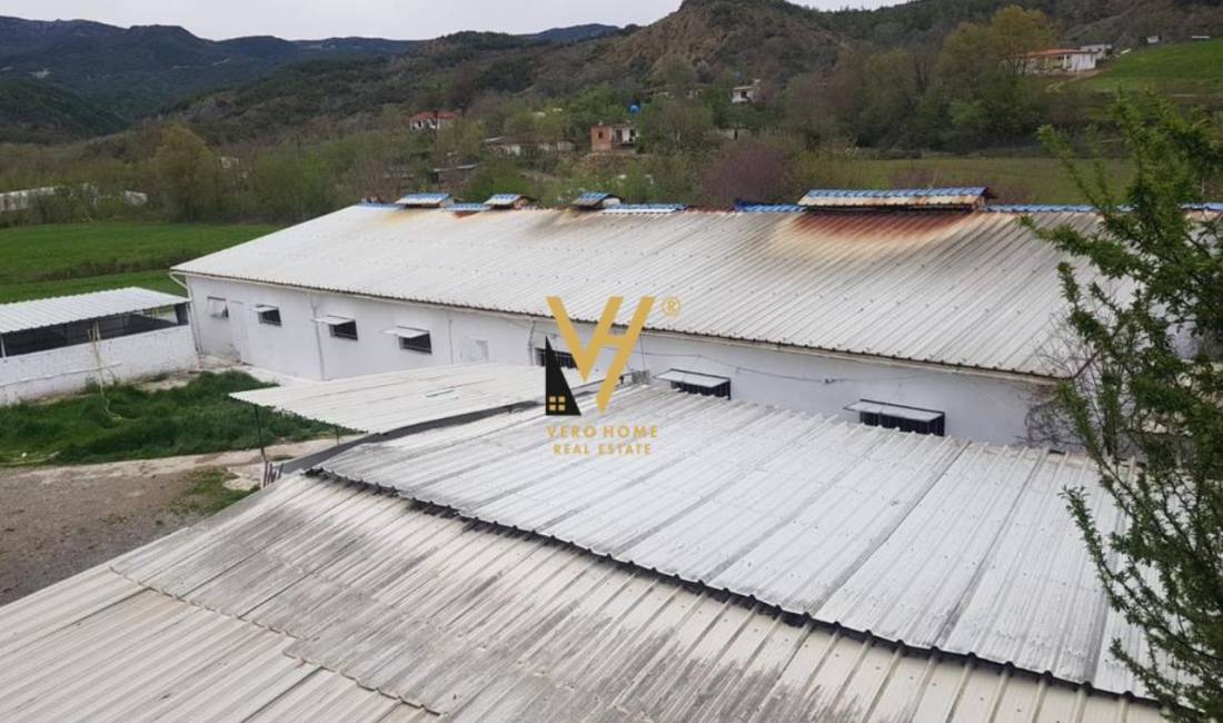 JEPET ME QERA MAGAZINE 2000M2 NE BALDUSHK 1.500EURO