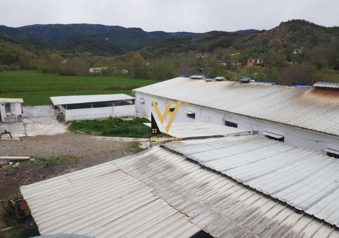 Business Property for Rent 4+1 in Tirana - 1,500 Euro