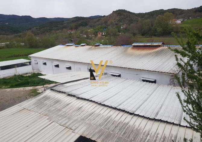 Business Property for Rent 4+1 in Tirana - 1,500 Euro