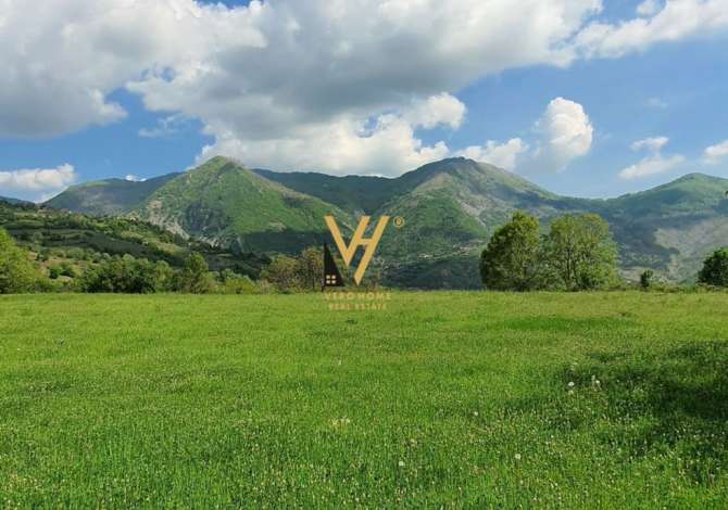 Truall ose Toke ne Tirane - 112,500 Euro