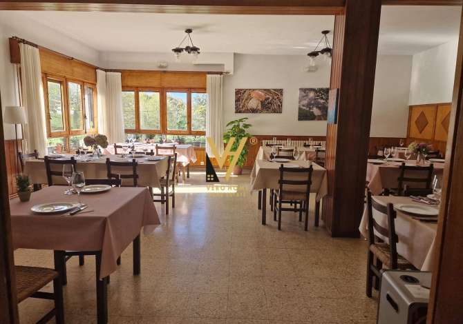 Ambient biznesi me qera 2+1 ne Tirane - 1,800 Euro