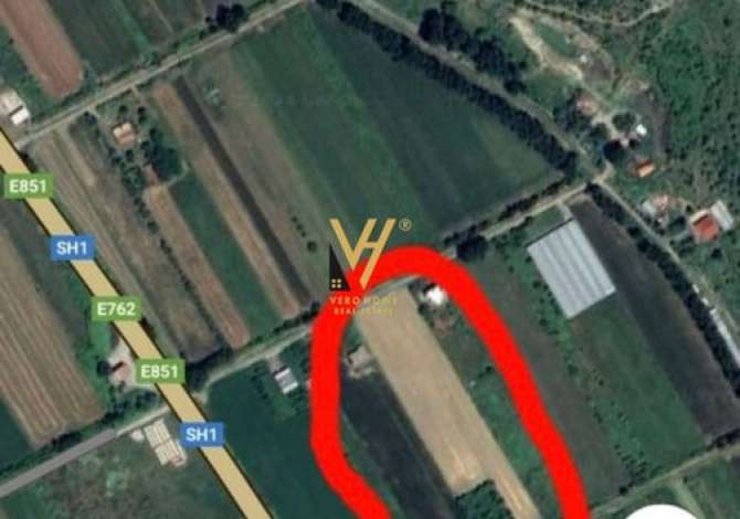 Truall ose Toke ne Lezhe - 80,000 Euro