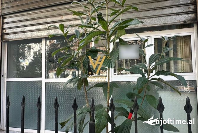 Ambiente Commerciale in Affitto 1+1 a Tirana - 300 Euro