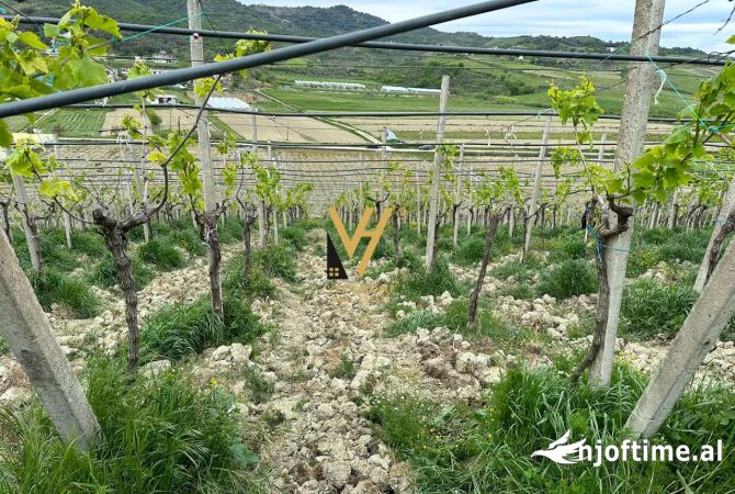 SHITET TOKE 7.000 M2 NE KAVAJE 90.000 EURO