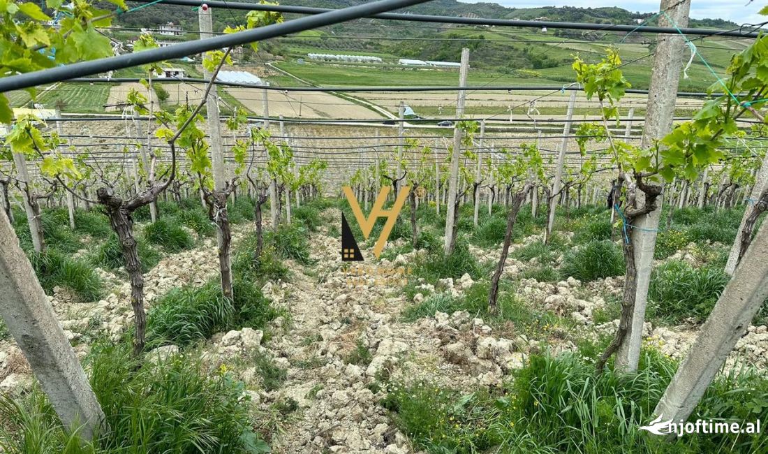 SHITET TOKE 7.000 M2 NE KAVAJE 90.000 EURO