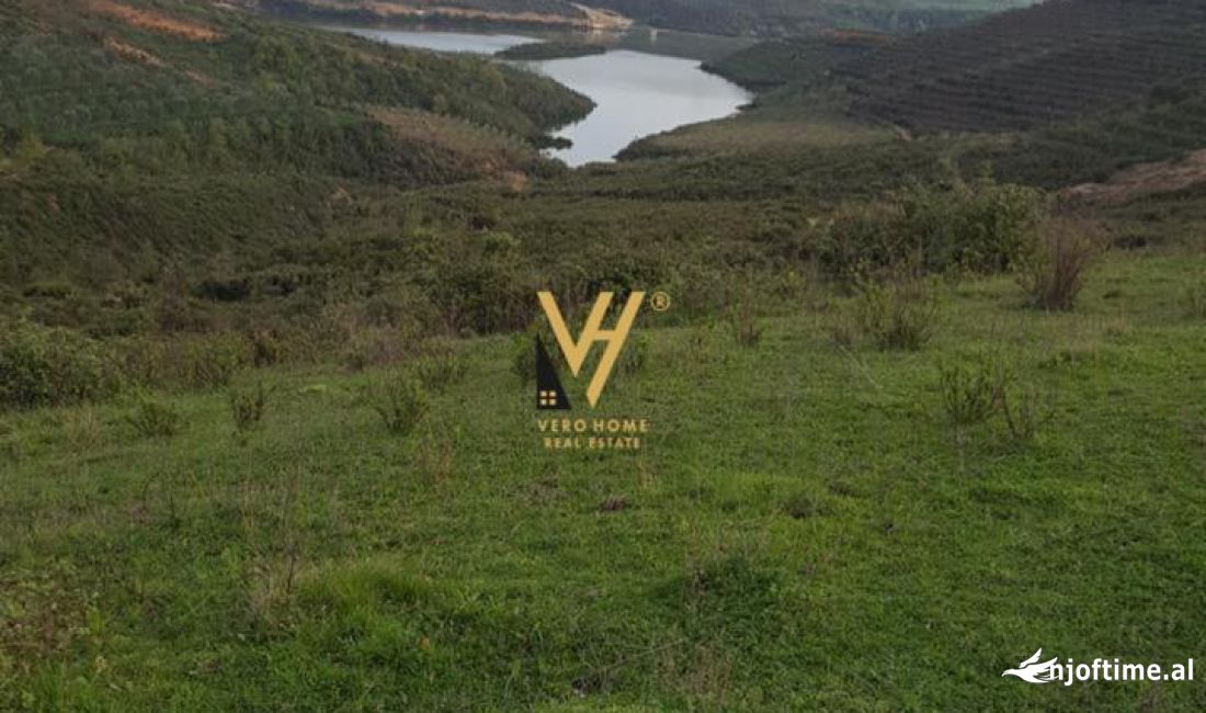 SHITET TOKE 22.200 M2 NE CERKEZ 555.000 EURO