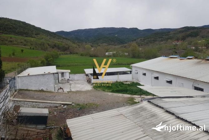 Ambient biznesi ne shitje 6+1 ne Tirane - 280,000 Euro