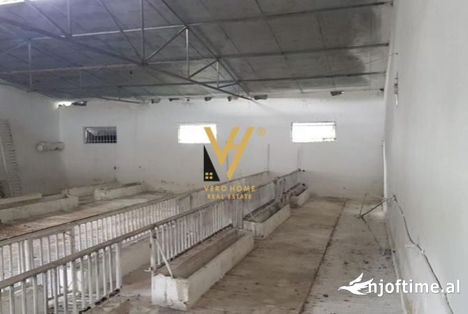 Ambient biznesi ne shitje 6+1 ne Tirane - 280,000 Euro