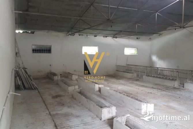 Ambient biznesi ne shitje 6+1 ne Tirane - 280,000 Euro