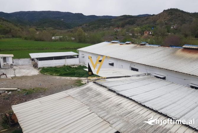 SHITET FERME 1.400 M2 NE BALDUSHK 280.000 EURO