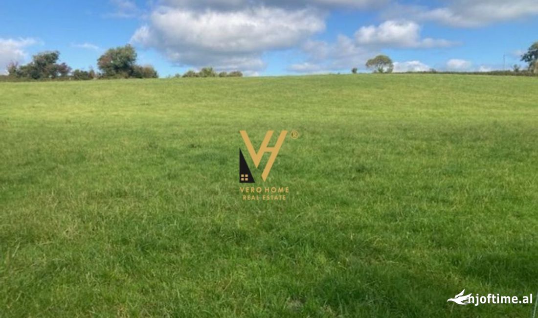 JEPET TOKE 1.000 M2 ME QERA NE SAUK 500 EURO