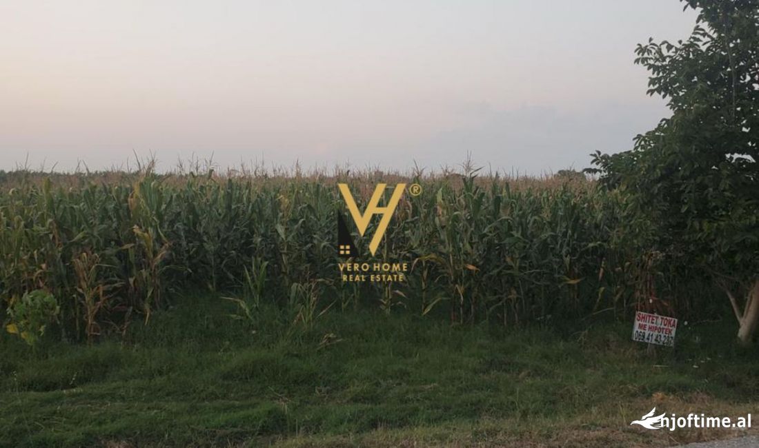 SHITET TOKE 11.000 M2 NE FIER 227.000 EURO