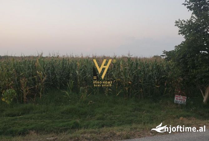 SHITET TOKE 11.000 M2 NE FIER 227.000 EURO