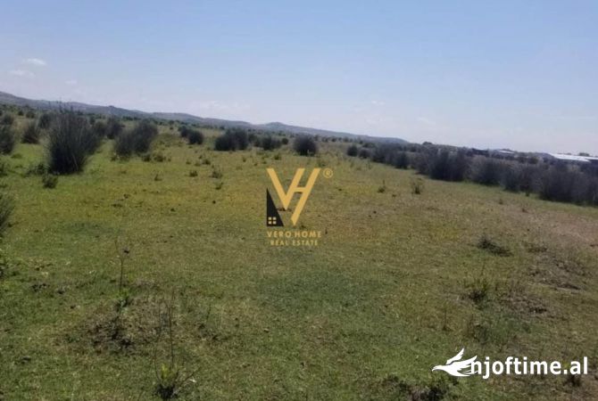 Truall ose Toke ne Vlore - 26,000 Euro