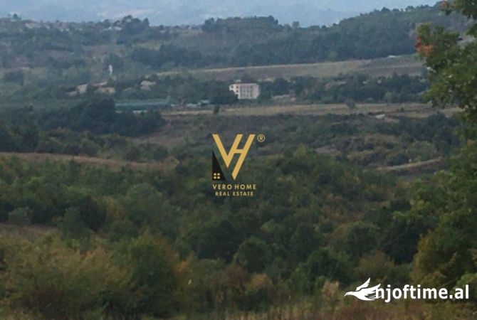 Truall ose Toke ne Tirane - 275,000 Euro