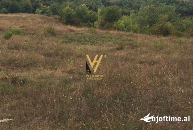 Truall ose Toke ne Tirane - 275,000 Euro