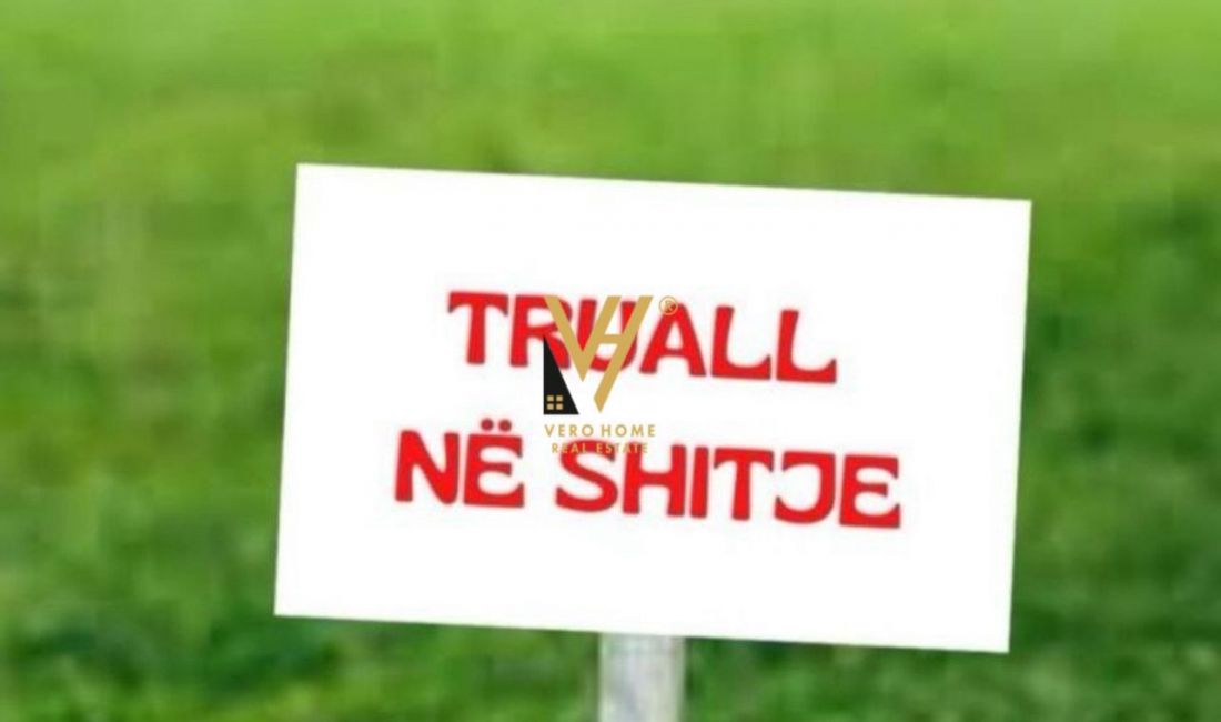 SHITET TOKE 60.000 M2 NE FIER, LIKOVUN, FESHTAN 650.000 EURO