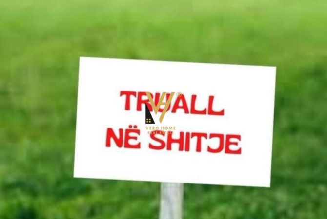 SHITET TOKE 60.000 M2 NE FIER, LIKOVUN, FESHTAN 650.000 EURO
