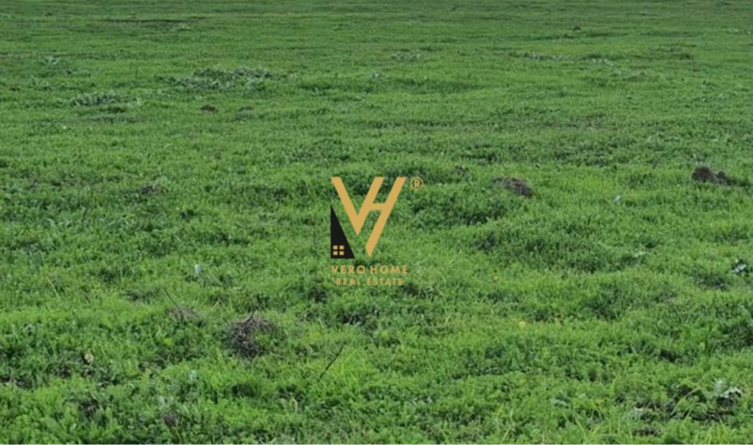 JEPET TOKE 205 M2 ME QERA NE SELITE 50.000 LEKE