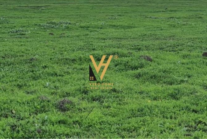 Truall ose Toke ne Tirane - 50,000 Leke