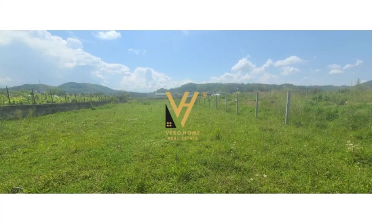 SHITET TOKE 3.000 M2 TE MBIKALIMI I RINASIT 450.000 EURO