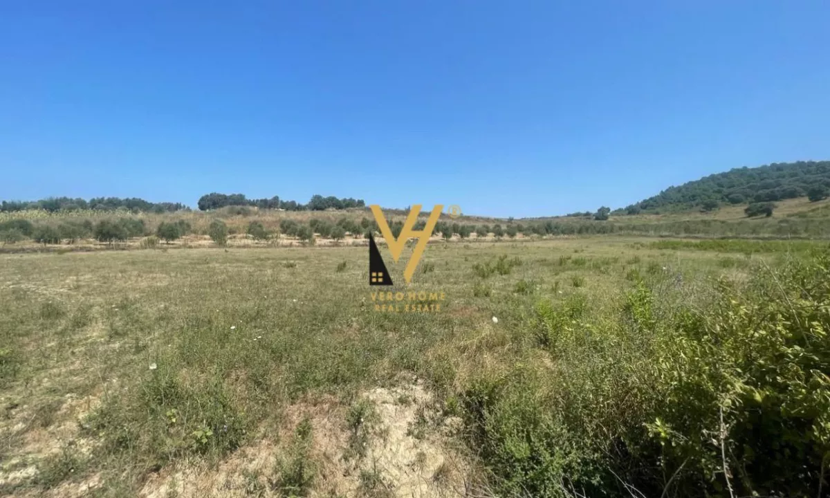 SHITET TOKE 100.000 M2 NE ZONEN E PRISKUT 5.000.000 EURO