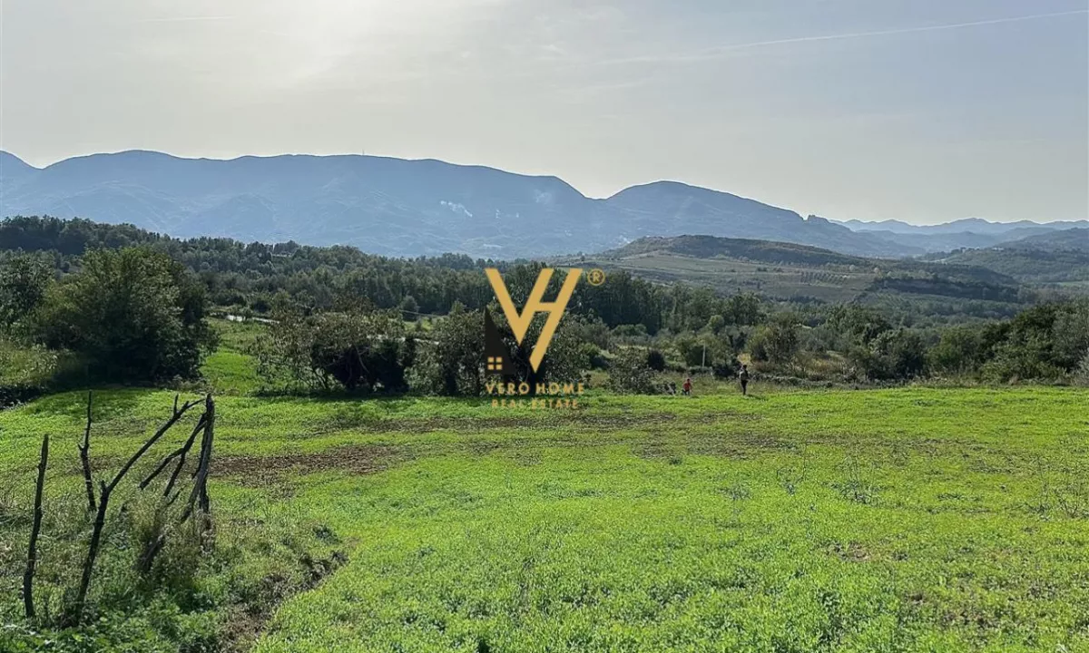 SHITET TRUALL E DHENE PER NDERTIM 37.000 M2 NE LINZE 5.550.000 EURO