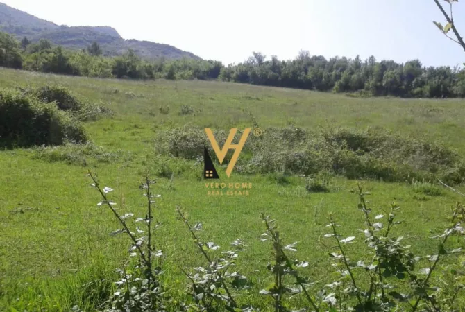 Truall ose Toke ne Tirane - 1,700,000 Euro