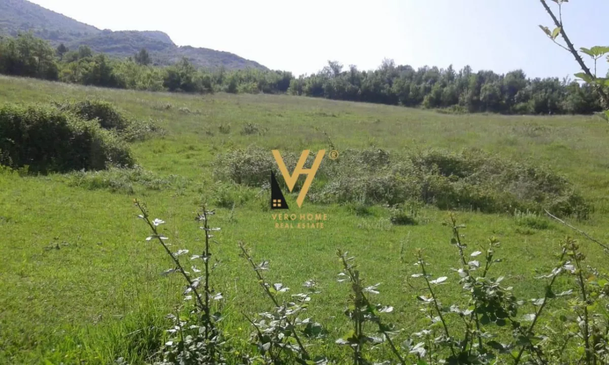 SHITET TRUALL 1.700 M2 PERBALLE VILAVE GJERMANE 1.700.000 EURO