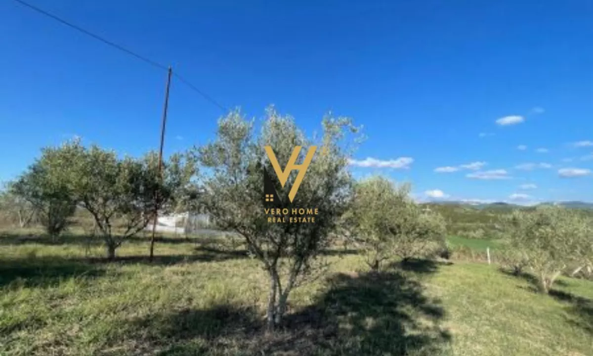 SHITET TOKE 12.700 M2 PRANE RESORT DAJTI OAZ 760.000 EURO