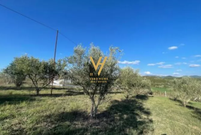 SHITET TOKE 12.700 M2 PRANE RESORT DAJTI OAZ 760.000 EURO