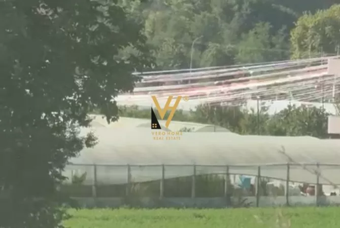 SHITET TOKE 2.500 M2 NE PEZE 175.000 EURO